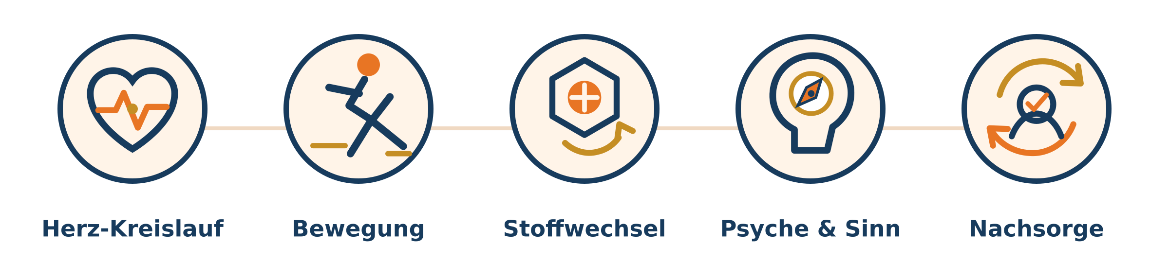Fünf verbundene Perspektiven: Herz-Kreislauf, Bewegung, Stoffwechsel, Psyche und Sinn sowie Nachsorge